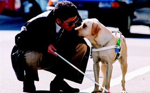 Bài học nhìn người từ câu chuyện con chó dẫn đường và người chủ mù lòa