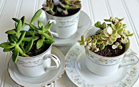 Những cách tái sử dụng đồ nhà bếp “nhìn là mê“