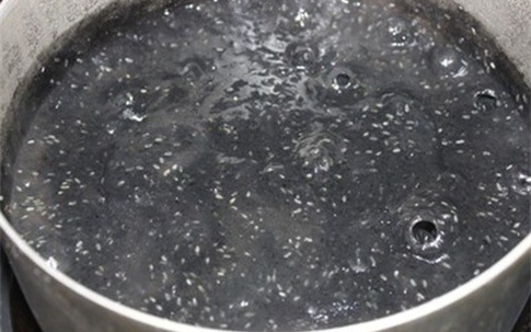 Vừng đen - bí kíp cho vòng 1 tăng size nhanh chóng