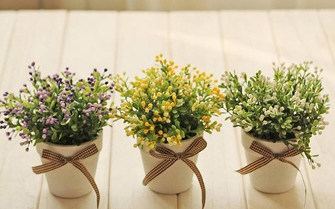 Để 5 món đồ quen thuộc này trong phòng khách chỉ khiến bạn gặp vận xấu