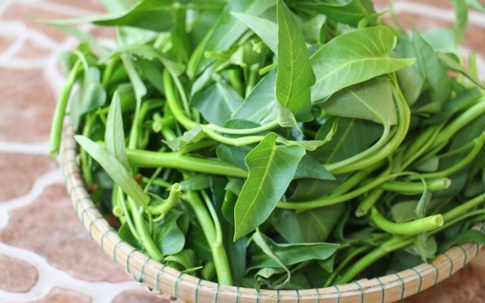 Cách chọn các loại rau sạch, an toàn theo mùa