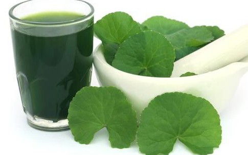 Sai lầm cần tránh khi ăn rau má trong ngày nắng nóng