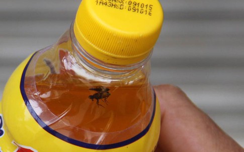 Vụ chai nước Number One có ruồi ở Nghệ An: Các nhà khoa học nói gì?