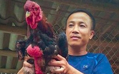 Chủ gà Đông Tảo đua nhau săn “hàng độc” phục vụ đại gia biếu Tết