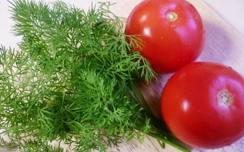 Công dụng chữa bệnh tuyệt vời của rau thì là