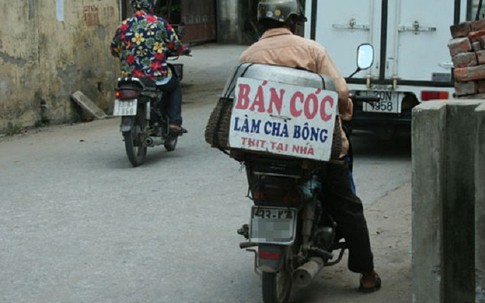 Đừng để mất mạng oan uổng vì ăn thịt cóc
