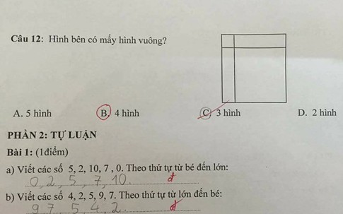 Bài toán đếm hình vuông 'cô hay trò sai' gây tranh cãi