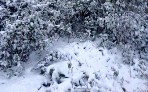 Ngắm tuyết phủ trắng miền Tây xứ Nghệ