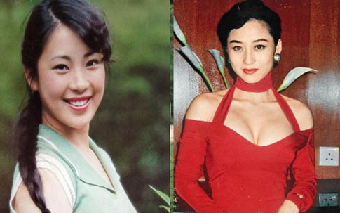 Đọ sắc hai bà vợ quyến rũ "chết người" của Lý Liên Kiệt