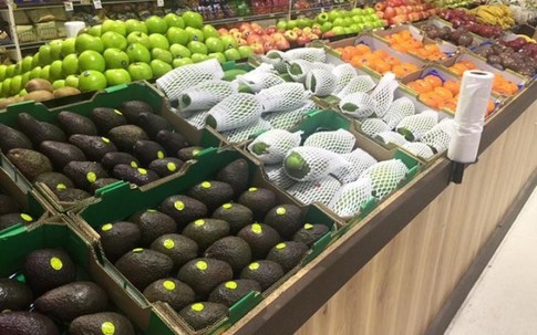Xoài Việt lần đầu bán ở Australia, giá 250.000 đồng/kg