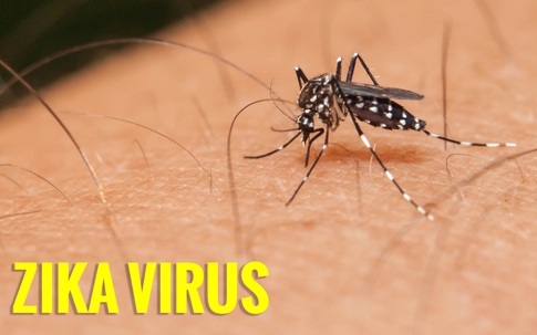 Phát hiện thanh niên 27 tuổi ở Phú Yên nhiễm virus Zika