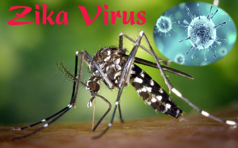 Người phụ nữ Hàn Quốc nhiễm virus Zika từ Việt Nam từng sống ở đâu tại nước ta?