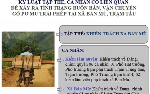 Vận chuyển gỗ pơ mu trái phép tại Yên Bái: Kỷ luật tập thể và 13 cán bộ liên quan