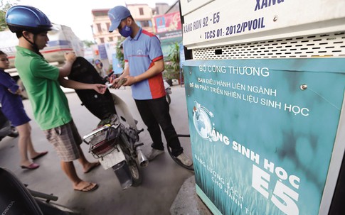 Xăng E5 trước giờ G: Nhà phân phối sẵn sàng, người dùng còn e ngại