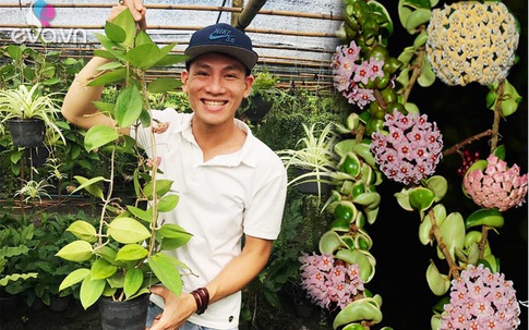Vườn Cẩm cù đủ loại rực rỡ đáng ngưỡng mộ của chàng trai 9x xứ Huế mê hoa