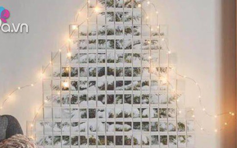 Ai bảo ở xứ nhiệt đới thì phải "bó tay" với cây thông Noel?