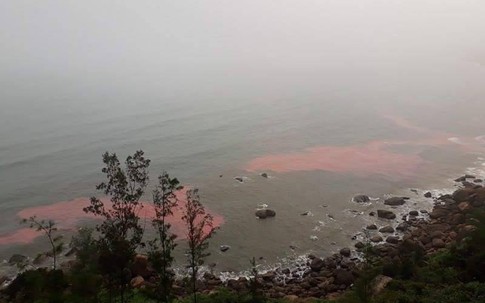 Đã "giải mã" dải nước màu đỏ “bí ẩn” ở biển Thừa Thiên – Huế