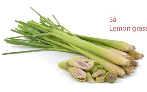 Tên gọi 10 loại gia vị Việt Nam trong tiếng Anh