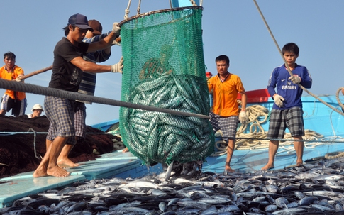 Bồi thường thiệt hại môi trường biển tại 4 tỉnh miền Trung: Chính phủ sẽ thành lập 4 đoàn thanh, kiểm tra