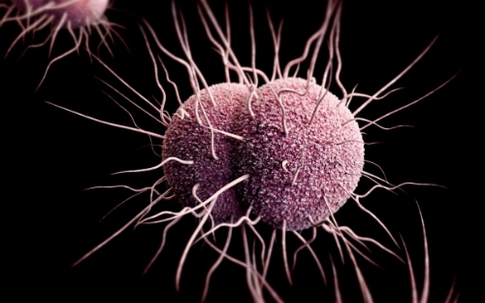 9 loại văcxin được kỳ vọng sẽ thay đổi cuộc sống con người