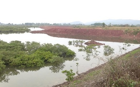 Quảng Ninh: Đất rừng phòng hộ bị “xẻ thịt” cho thuê làm bãi VLXD?