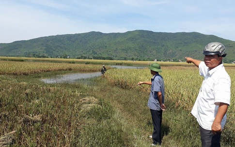 Huyện Nông Cống (Thanh Hóa): Dân nghèo mòn mỏi  chờ tiền hỗ trợ lúa ngập úng