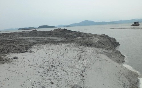 Huyện Vân Đồn (Quảng Ninh): Dân lo lắng vì nguy cơ tận diệt tại bãi triều Chương Rồ