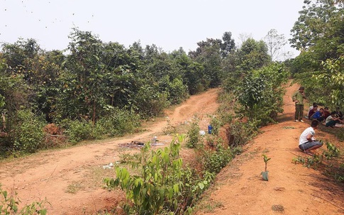 Vụ cô giáo mầm non tử nạn trên rừng: Tâm sự đau đớn của bố nạn nhân