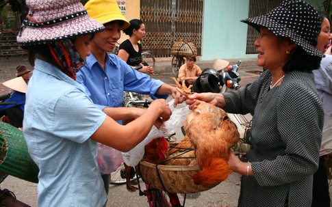 Chủ động ứng phó dịch cúm gia cầm
