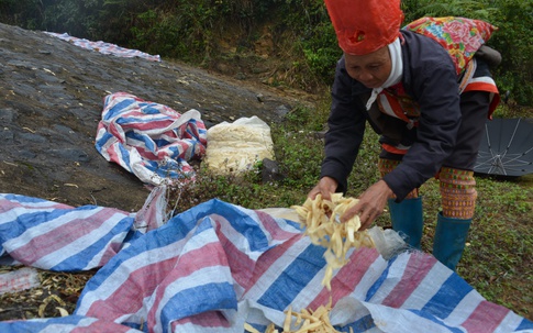 Quảng Ninh: Chuyện buồn ở một xã nghèo