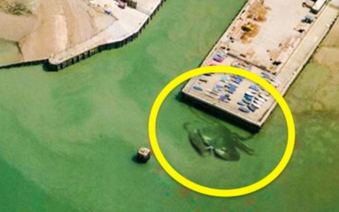 Những hình ảnh “kỳ quặc” nhất từng được tìm thấy bằng Google Maps