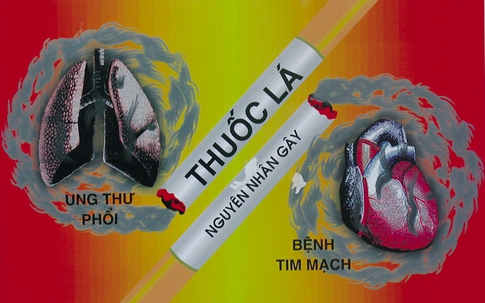 Thuốc lá “đi thẳng tới trái tim” bạn như thế nào?
