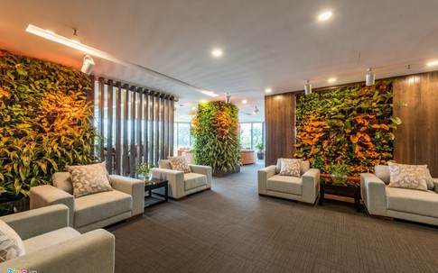 Văn phòng làm việc xanh mướt với chanh leo, mồng tơi, ớt... ở Hà Nội