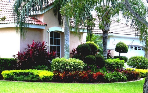 Sân vườn nhỏ vẫn có thể xinh lung linh nếu biết thiết kế