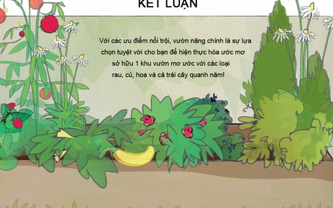 Vườn nâng: giải pháp hoàn hảo giúp hiện thực hóa khu vườn trong mơ của bạn