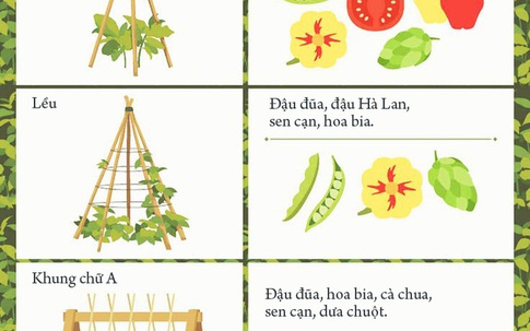 Vườn đứng: Giải pháp hoàn hảo cho căn nhà nhỏ