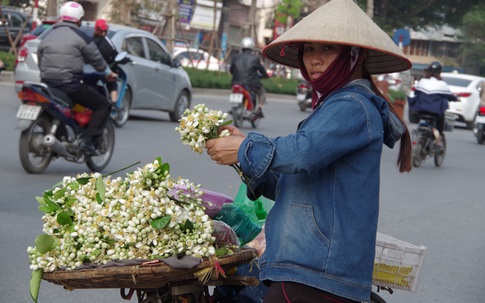 Kiếm chục triệu nhờ những mẹt hoa bưởi dạo
