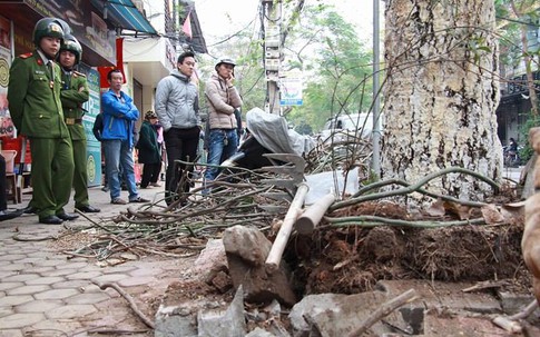 Hải Phòng sẽ trả lại vỉa hè cho người đi bộ