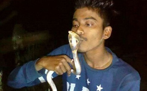 Thanh niên mất mạng vì cố hôn rắn độc để chụp ảnh