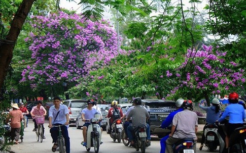 Hửng nắng một ngày, miền Bắc lại đón khí lạnh