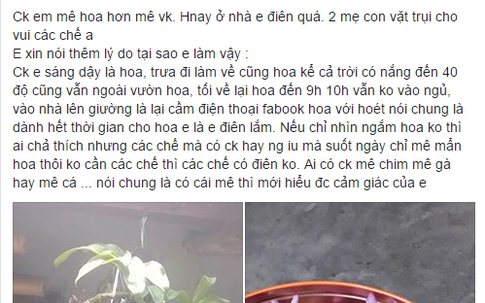 Ghen tức vì chồng mê hoa hơn mình, cô vợ vặt trụi chậu phong lan bạc triệu của chồng làm... nước tắm