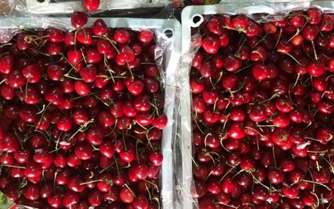 Cherry Trung Quốc giá rẻ chiếm lĩnh chợ online