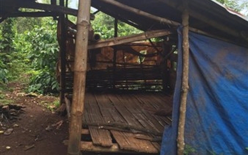 Đưa bạn gái 13 tuổi đi chơi rồi cùng nhóm bạn thay nhau hãm hiếp