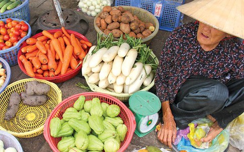 Củ héo lại căng mọng, tươi "rói" chỉ trong chớp mắt nhờ hóa chất