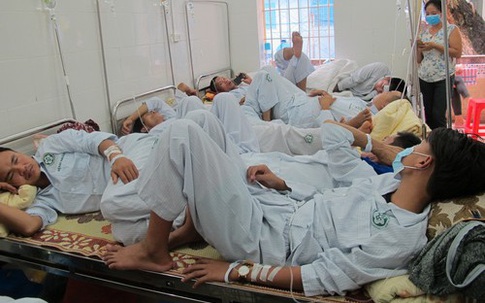 Cuộc sống đảo lộn khi cả nhà cùng bị sốt xuất huyết