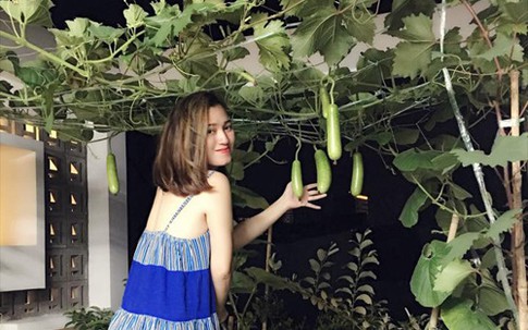 Cặp vợ chồng Sài Gòn bày cách trồng rau quả trên sân thượng từ A đến Z
