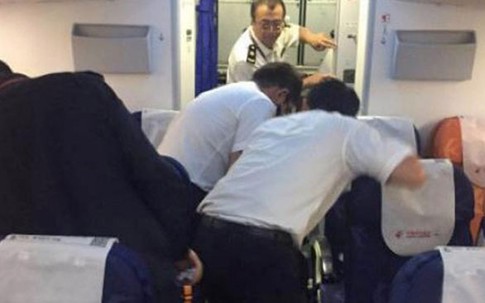 Hành khách ghê sợ vì phát hiện hàng trăm con gián trên máy bay