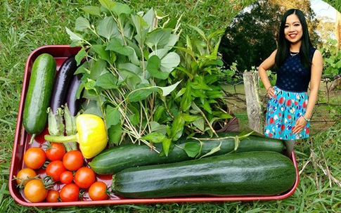 Vườn bậc thang dưới chân núi trồng đủ loại rau của nàng dâu Việt tại Australia