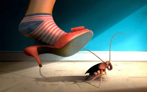 Thói quen đập gián bằng dép có thể giết chết bạn và cả gia đình
