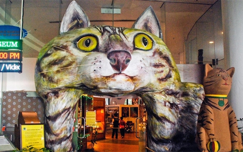 Thành phố mèo ở Malaysia ám ảnh cả người dân lẫn du khách